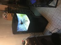 IMG_0848.jpg