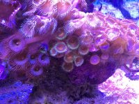D3206D82-DD35-4C74-A036-F7C4CC11742F.jpg