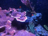 IMG_0882.jpg