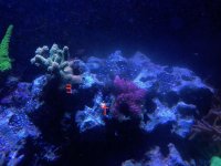 IMG_0883.jpg