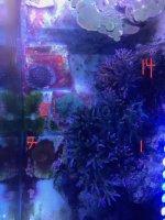IMG_0887.jpg