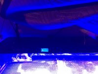 IMG_5418.JPG