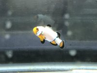 IMG_1622.jpg