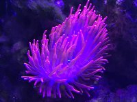 IMG_0926.jpg