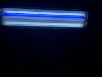 IMG_0049.jpg