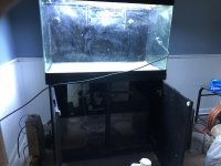 IMG_0051.jpg