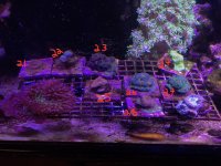 IMG_0894.jpg
