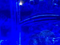 IMG_8433.jpg