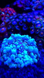 IMG_20180104_103920.jpg