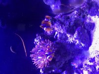 IMG_0998.JPG