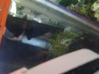 20170508_094718.jpg