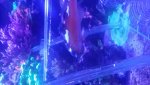 20171009_182758.jpg