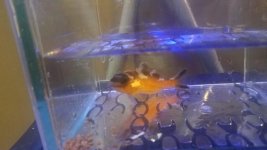 20171009_183901.jpg