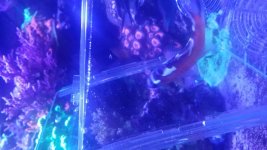 20171009_182757.jpg