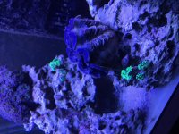 IMG_1173.jpg