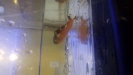 20171009_183855.jpg