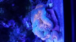 20171008_175810.jpg
