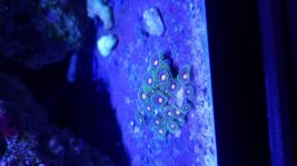 20171008_175805.jpg