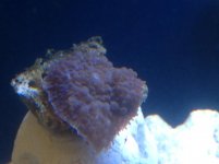 IMG_4869.jpg