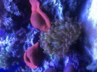 IMG_1456.jpg