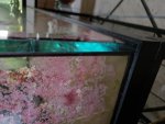 20180630_120806.jpg