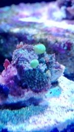 IMG_20171010_200838.jpg