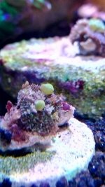 IMG_20171010_200744.jpg