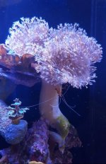 20180630_180217.jpg