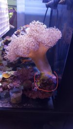 20180630_180108.jpg