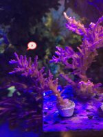 IMG_8135.jpg