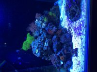IMG_3462.jpg