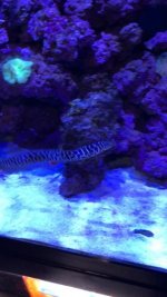 IMG_4364.jpg