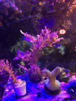 IMG_8137.jpg