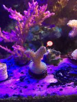 IMG_8138.jpg