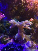 IMG_8139.jpg