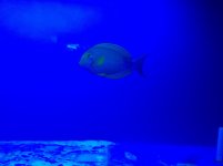 IMG_0332.jpg