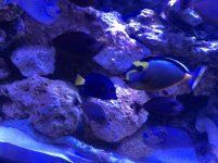 IMG_0361.jpg