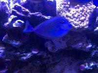 IMG_0363.jpg