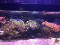 IMG_4805.jpg