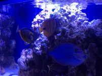 IMG_0365.jpg