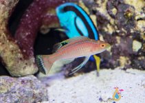 IMG_3025.jpg