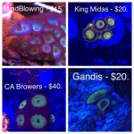 CDB91221-DBC8-4149-BB12-37483A2DDE6B.jpg