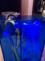 Aquamaxxx Skimmer (1).jpg