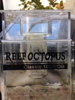 ReefO (2).jpg