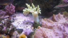 20170719_104110.jpg