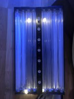 IMG_0574.jpg