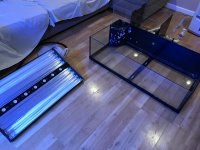 IMG_0579.jpg