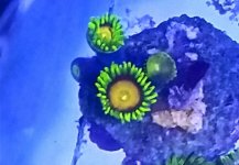 VZM.IMG_20160510_125441.jpg