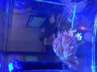 IMG_8905.JPG