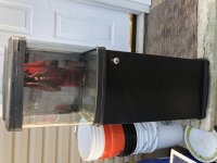 IMG_1032 3.jpg
